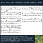 everyday music score shot 201120 0.jpg