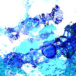 myimage190418.jpg