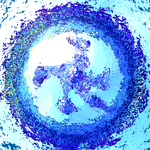 myimage190507.jpg