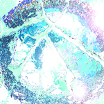 myimage190519.jpg
