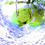 myimage190526.jpg
