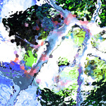 myimage190612.jpg