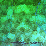 myimage190812.jpg