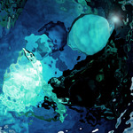 myimage191101.jpg