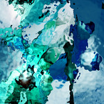 myimage191103.jpg