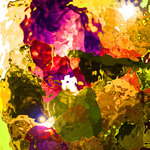 myimage191112.jpg