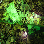 myimage191113.jpg