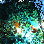 myimage191114.jpg