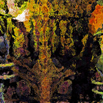 myimage191208.jpg