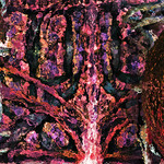 myimage191216.jpg