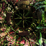 myimage191217.jpg