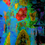 myimage191219.jpg