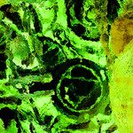 myimage191225.jpg