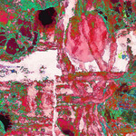 myimage191227.jpg
