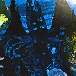 myimage200105.jpg