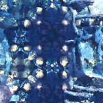 myimage200109.jpg